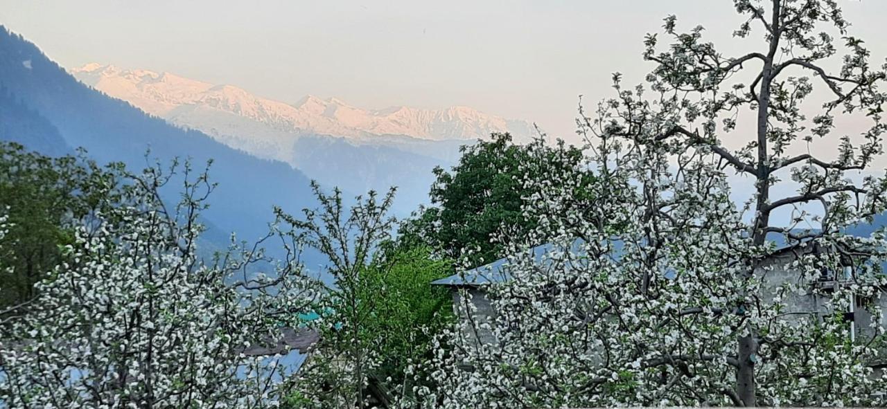 The Heaven'S Retreat Manali (Himachal Pradesh) Bagian luar foto