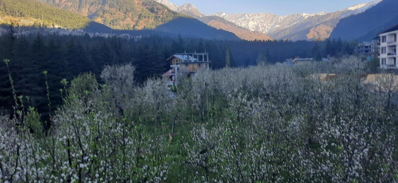 The Heaven'S Retreat Manali (Himachal Pradesh) Bagian luar foto